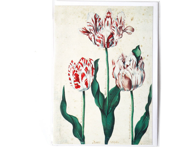 Double carte, Trois tulipes, Artiste inconnu