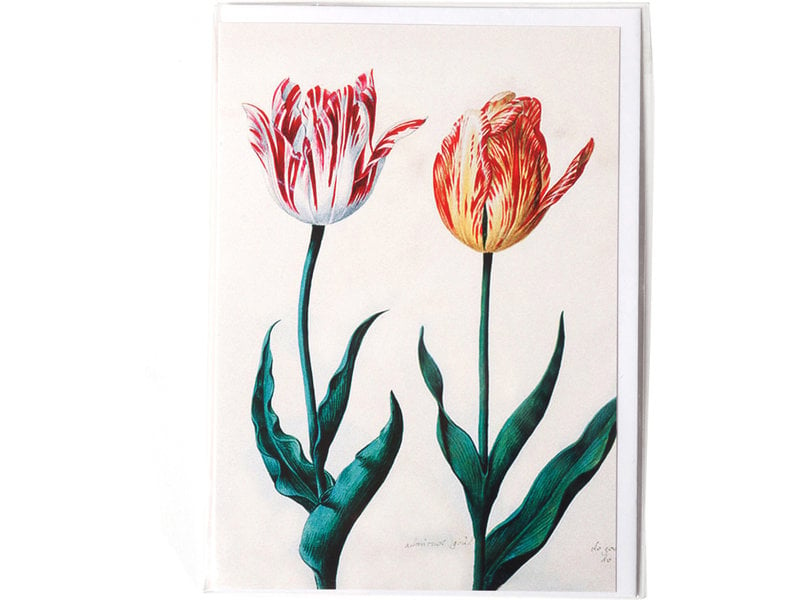 Doppelkarte, zwei Tulpen, Van Swanenburch