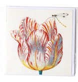 Card, White and Red Tulip and Insect, Marrel