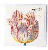 Dubbele kaart, Wit met rode tulp met insect, Marrel