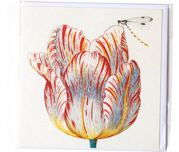 Doppelkarte, Weiß mit roter Tulpe mit Insekt, Marrel