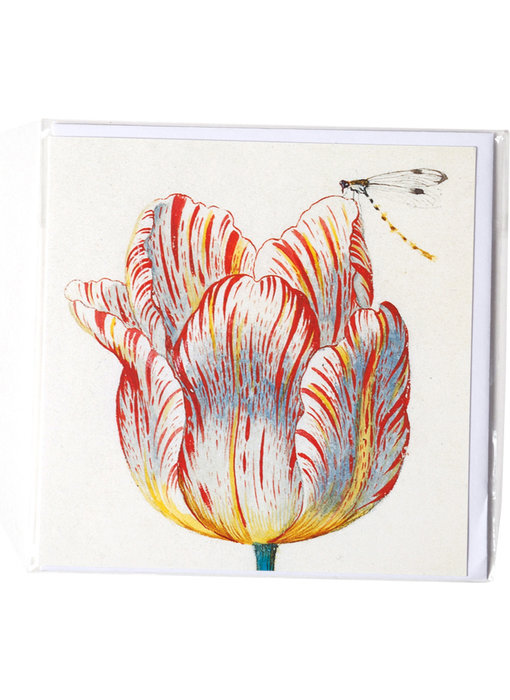 Double carte, Blanc avec tulipe rouge avec insecte, Marrel