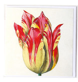 Dubbele kaart, Geel met rode tulp, Marrel