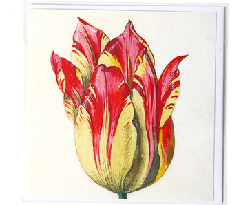 Doppelkarte, Gelb mit roter Tulpe, Marrel