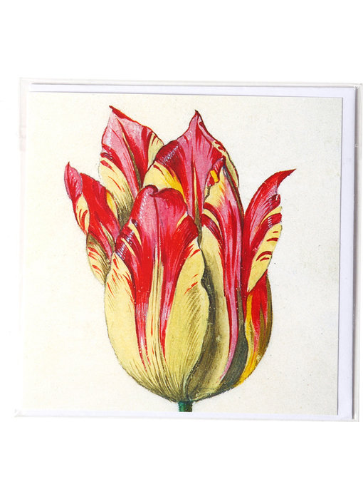 Doppelkarte, Gelb mit roter Tulpe, Marrel