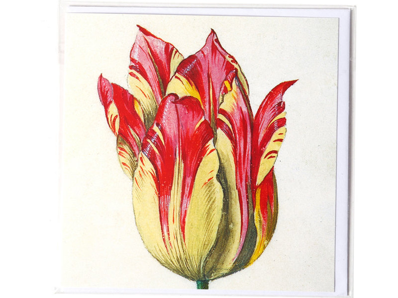 Dubbele kaart, Geel met rode tulp, Marrel