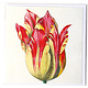 Double carte, Jaune avec tulipe rouge, Marrel