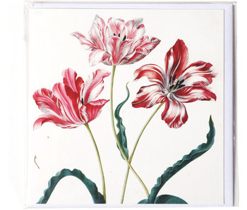 Doble tarjeta, Tres tulipanes, Merian, Colección Teylers