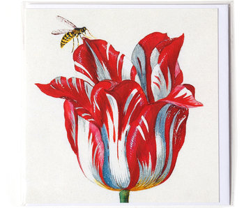 Doble tarjeta, blanco con tulipán rojo con insecto (abeja), Marrel