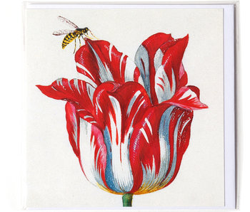 Doppelkarte, Weiß mit roter Tulpe mit Insekt (Biene), Marrel