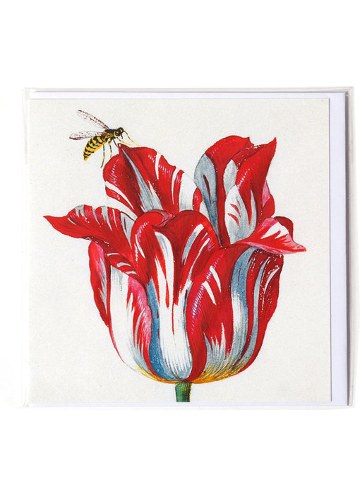 Doppelkarte, Weiß mit roter Tulpe mit Insekt (Biene), Marrel
