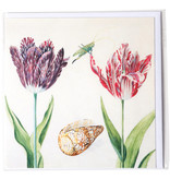 Card, Two Tulips, Shell and Insect (cricket), Marrel