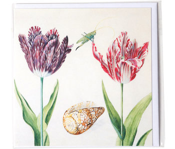 Doble tarjeta, Dos tulipanes con concha e insecto (grillo), Marrel