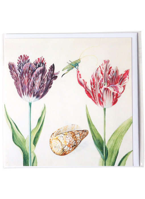 Doppelkarte, zwei Tulpen mit Muschel und Insekt (Grille), Marrel