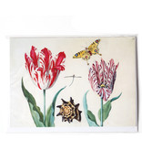 Doppelkarte, zwei Tulpen mit Muschel und Schmetterling, Marrel