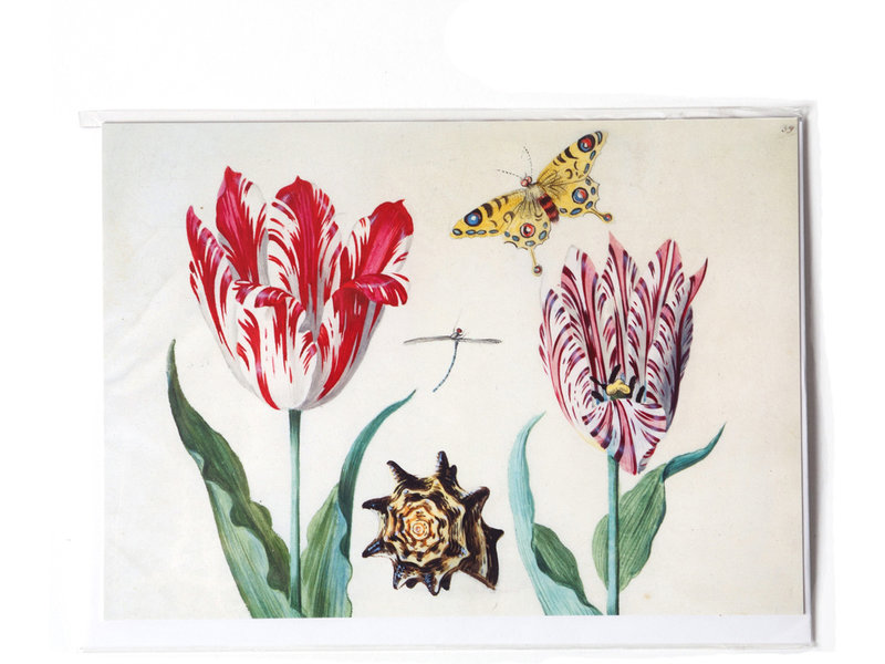 Doble tarjeta, Dos tulipanes con concha y mariposa, Marrel