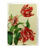 Doble tarjeta, tres tulipanes, Henstenburgh