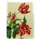 Doppelkarte, drei Tulpen, Henstenburgh