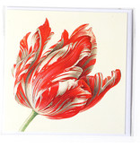 Doble tarjeta, Tres tulipanes (detalle), Henstenburgh