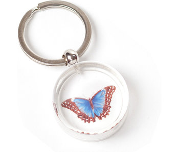 Porte-clés en boite cadeau, Papillon, Merian