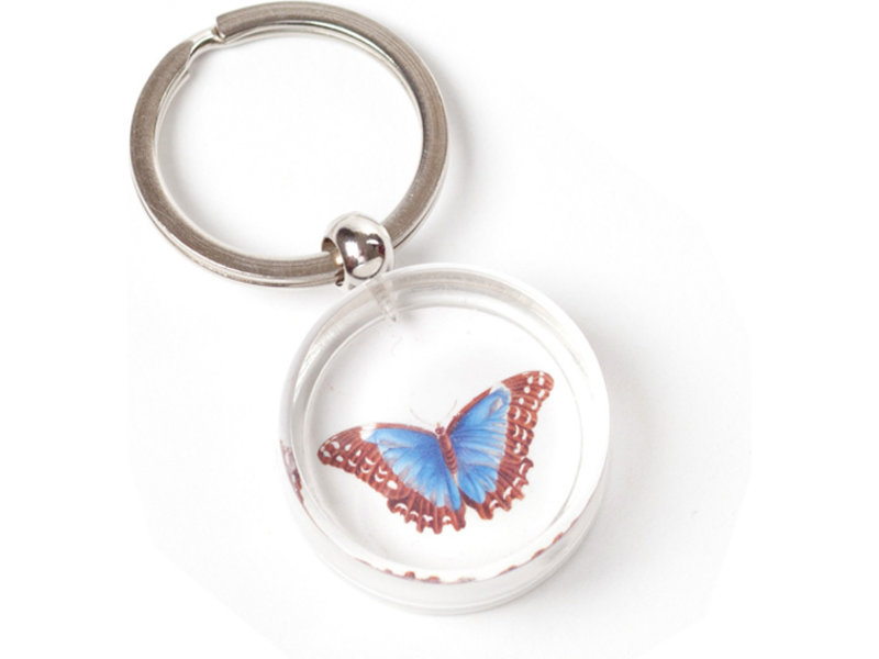 Porte-clés en boite cadeau, Papillon, Merian