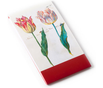 Notelet, Two Tulips with Insects, Marrel