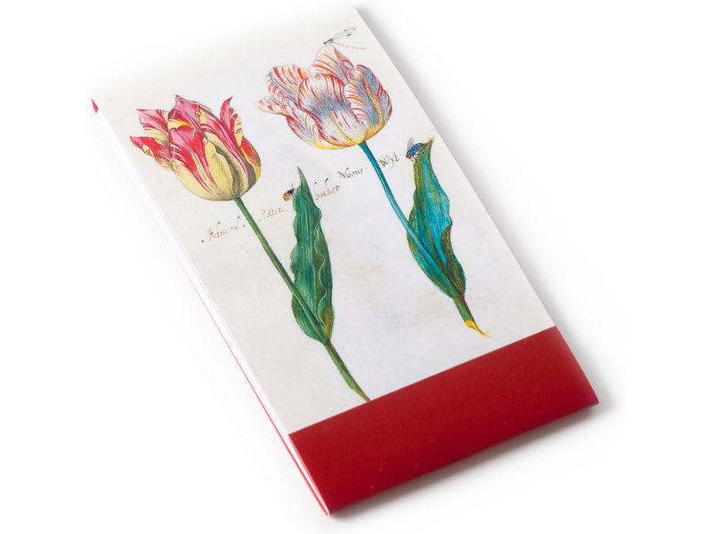 Gogonotes, Twee tulpen met insecten, Marrel