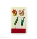 Gogonotes, Two Tulips with Insects, Marrel