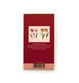 Gogonotes, Two Tulips with Insects, Marrel