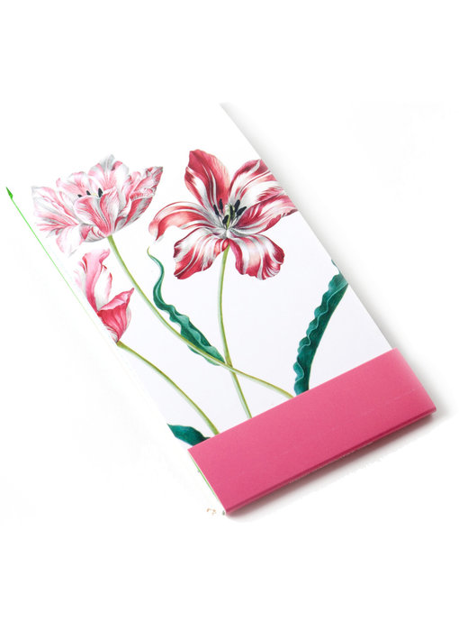 Notelet, Drie tulpen, Merian, Teylers Collectie