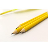 Velvet Pencil Yellow