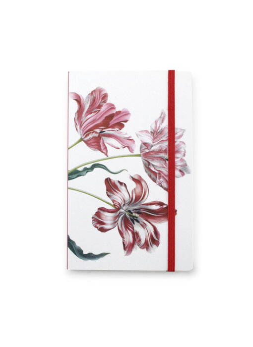 Softcover Notebook A6, Three Tulips, Merian