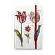 Carnet à couverture souple A6, Quatre tulipes avec insectes, Marrel