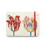 SketchPad, Four Tulips with insects, Marrel