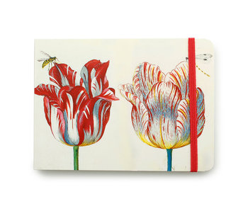Cuaderno de bocetos, cuatro tulipanes con insectos, Marrel