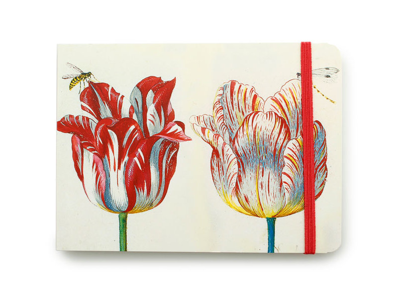 Cuaderno de bocetos, cuatro tulipanes con insectos, Marrel