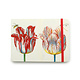 SketchPad, Four Tulips with insects, Marrel