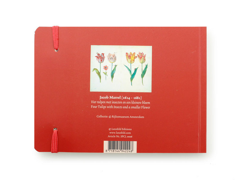 Cuaderno de bocetos, cuatro tulipanes con insectos, Marrel