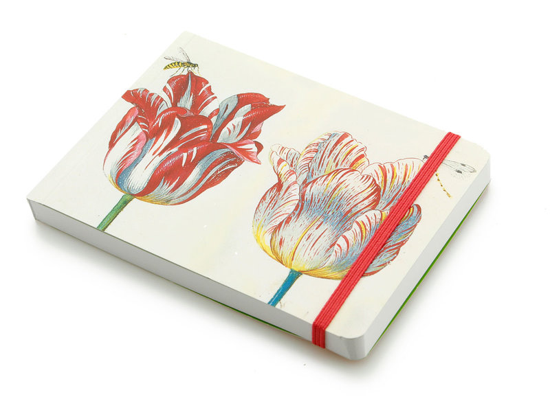 Cuaderno de bocetos, cuatro tulipanes con insectos, Marrel