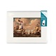 Passe-Partout met reproductie, L, Ships Prins/Gouden Leeuw, vd Velde