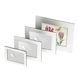 Matted prints with reproduction, XL, Two tulips with shell and insects, Marrel