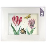 Passe-partout met reproductie, XL, Twee tulpen met schelp en insecten, Marrel