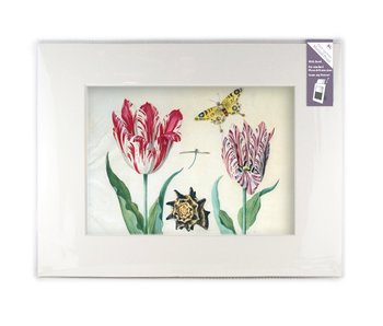 Passe-partout avec reproduction, XL, Deux tulipes avec coquille et insectes, Marrel