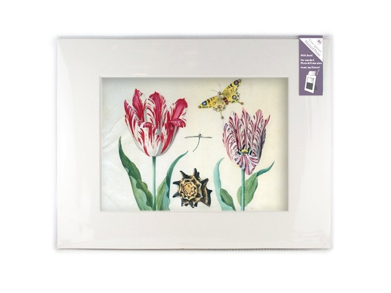 Passe-partout met reproductie, XL, Twee tulpen met schelp en insecten, Marrel