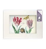 Passe-partout met reproductie, L, Twee tulpen met schelp en insecten, Marrel