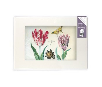 Paspartú con reproducción, L, Dos tulipanes con concha e insectos, Marrel