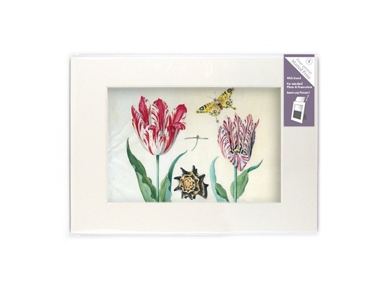 Passe-partout with reproduction, L, Two tulips with shell and insects, Marrel