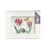 Passe-partout avec reproduction, M, Deux tulipes à coquille et insectes, Marrel