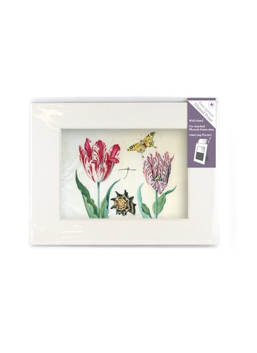 Passe-partout met reproductie, M, Twee tulpen met schelp en insecten, Marrel