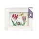 Passe-Partout mit Fortpflanzung, M, Zwei Tulpen mit Muschel und Insekten, Marrel